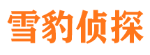 麻栗坡侦探调查公司